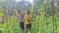 Bhabinkamtibmas Desa Romben Barat, Aipda Eko Arie Wahyudi saat melakukan monitoring tanaman mentimun milik warga. (Foto: Dok. NusaMadura.com)